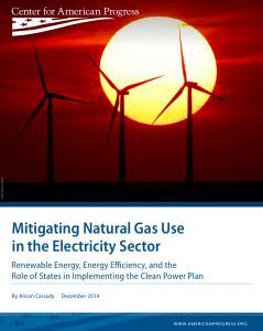 Mitigating Natural Gas Use in the Electricity Sector