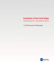 Evolution of the Grid Edge: Pathways to Transformation