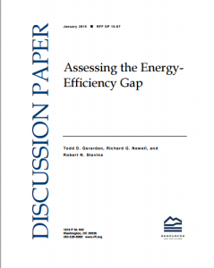Assessing the Energy-Efficiency Gap