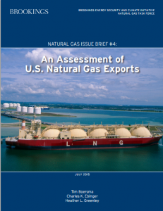An Assessment of U.S. Natural Gas Exports