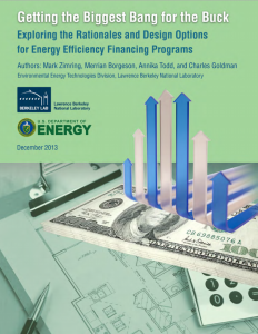 Getting the Biggest Bang for the Buck: Exploring the Rationales and Design Options for Energy Efficiency Financing Programs