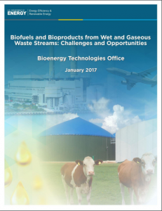 Biofuels and Bioproducts from Wet and Gaseous Waste Streams: Challenges and Opportunities