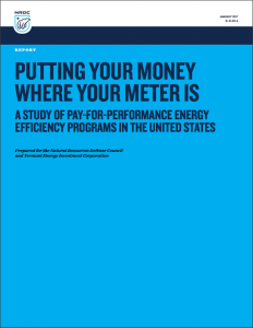 Putting Your Money Where Your Meter Is: A Study Of Pay-For-Performance Energy Efficiency Programs In The United States