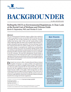 Rolling the DICE on Environmental Regulations: A Close Look at the Social Cost of Methane and Nitrous Oxide