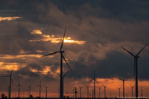 Renewable Energy Subsidies