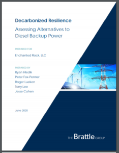 Decarbonized Resilience