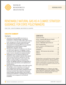 Renewable Natural Gas as a Climate Strategy: Guidance for State Policymakers