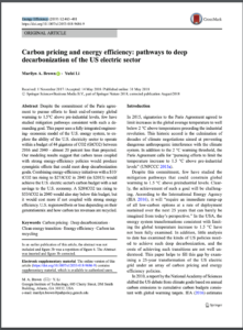Carbon pricing and energy efficiency: pathways to deep decarbonization of the US electric sector