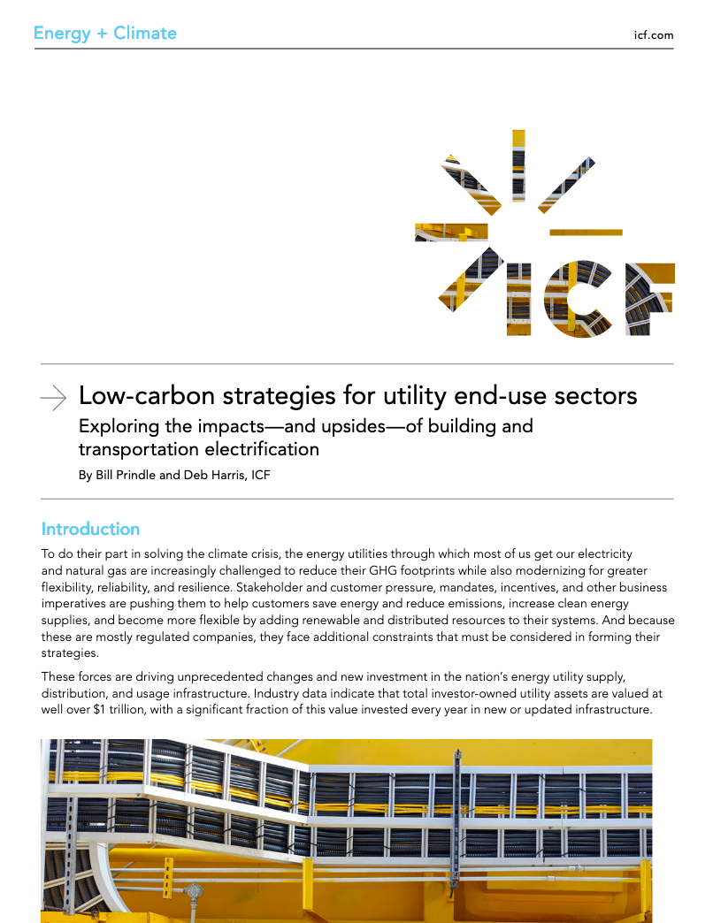 Low-Carbon Strategies for Utility End-Use Sectors