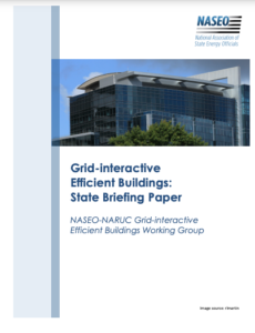 Grid-interactive Efficient Buildings: State Briefing Paper