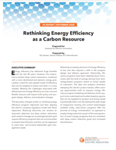 Rethinking Energy Efficiency as a Carbon Resource