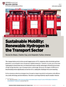 Sustainable Mobility: Renewable Hydrogen in the Transport Sector