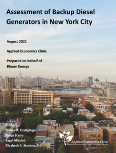 Assessment of Backup Diesel Generators in New York City