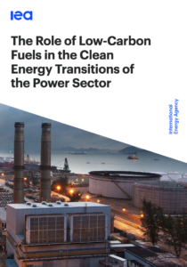 The Role of Low-Carbon Fuels in the Clean Energy Transitions of the Power Sector