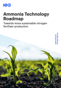 Ammonia Technology Roadmap: Towards More Sustainable Nitrogen Fertilizer Production