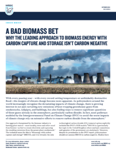 A Bad Biomass Bet: Why the Leading Approach to Biomass Energy with Carbon Capture and Storage Isn’t Carbon Negative