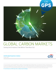 Global Carbon Markets: Solving the Emissions Crisis Before Time Runs Out