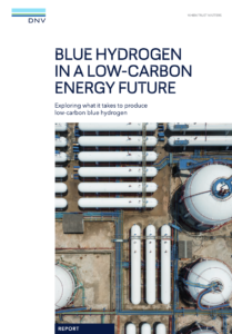 Blue Hydrogen in a Low-Carbon Energy Future