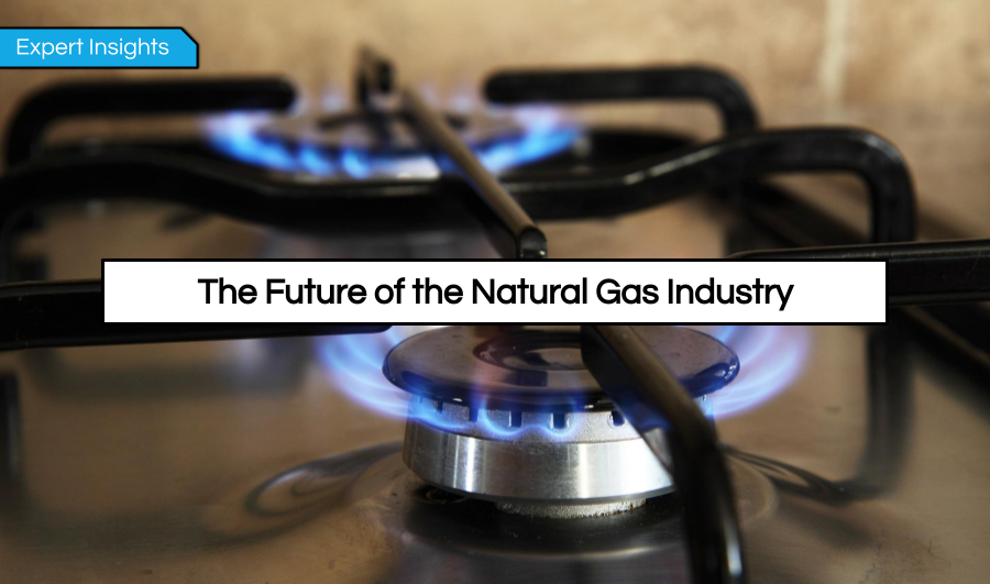 The Future of the Natural Gas Industry