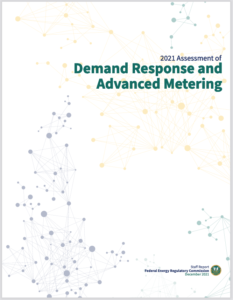2021 Assessment of Demand Response and Advanced Metering