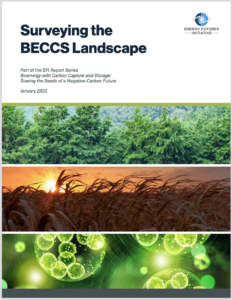 Surveying the BECCS Landscape