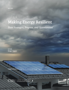 Making Energy Resilient: State Strategies, Progress, and Opportunities