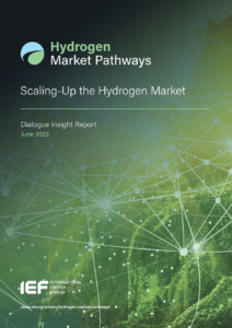 Hydrogen Market Pathways