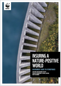 Insuring a Nature-Positive World: An Insurers' Guide to Hydropower