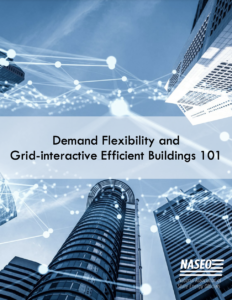 Demand Flexibility and Grid-interactive Efficient Buildings 101