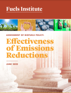 Assessment of Biofuels Policy: Effectiveness of Emissions Reductions