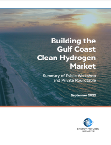 Building the Gulf Coast Clean Hydrogen Market