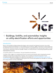 Buildings, Forklifts, and Automobiles: Insights on Utility Electrification Efforts and Opportunities