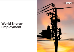 World Energy Employment Report