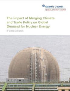 The Impact of Merging Climate and Trade Policy on Global Demand for Nuclear Energy