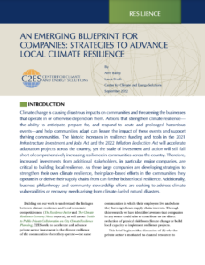 An Emerging Blueprint for Companies: Strategies to Advance Local Climate Resilience