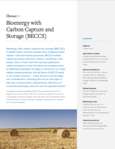 Bioenergy with Carbon Capture and Storage (BECCS)