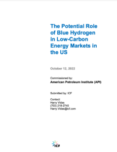 The Potential Role of Blue Hydrogen in Low-Carbon Energy Markets in the US