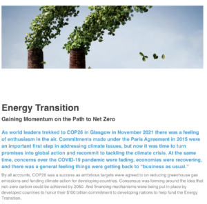 Energy Transition: Gaining Momentum on the Path to Net Zero
