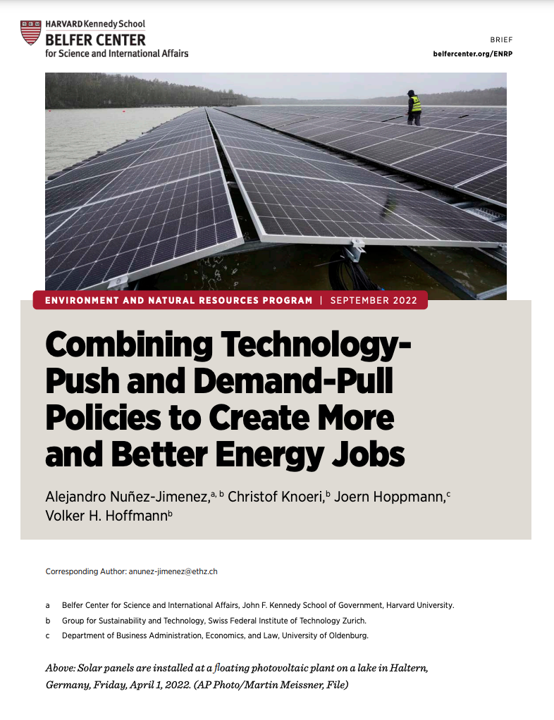 Combining TechnologyPush and DemandPull Policies to Create More and