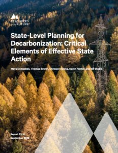 State-Level Planning for Decarbonization: Critical Elements of Effective State Action