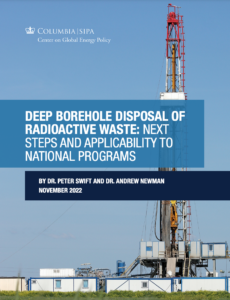 Deep Borehole Disposal of Radioactive Waste: Next Steps and Applicability to National Programs