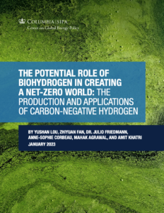 The Potential Role of Biohydrogen in Creating a Net-Zero World