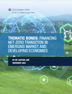 Thematic Bonds: Financing Net-Zero Transition in Emerging Market and Developing Economies