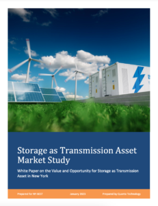 Storage as Transmission Asset Market Study