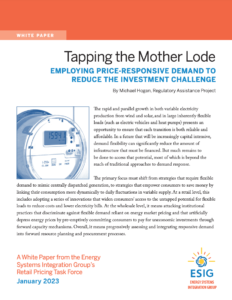 Tapping the Mother Lode: Employing Price-Responsive Demand to Reduce the Investment Challenge