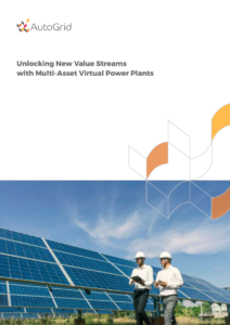 Unlocking New Value Streams with Multi-Asset Virtual Power Plants