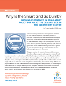 Why Is the Smart Grid So Dumb? Missing Incentives in Regulatory Policy for an Active Demand Side in the Electricity Sector