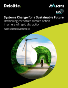 Systems Change for a Sustainable Future