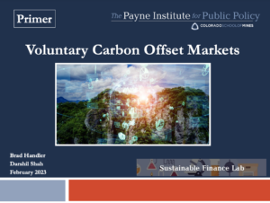 Voluntary Carbon Offset Markets