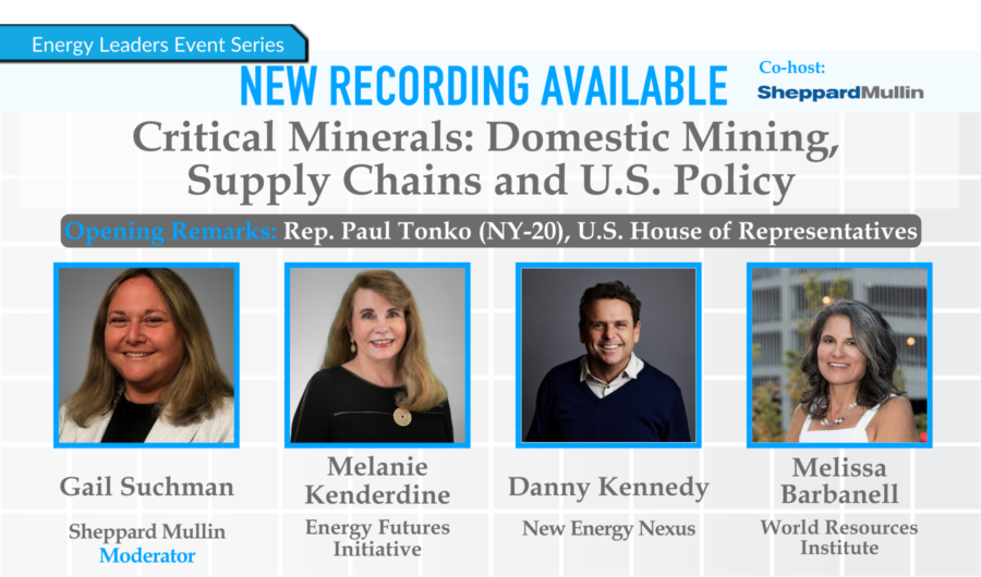 Critical Minerals: Domestic Mining, Supply Chains and U.S. Policy